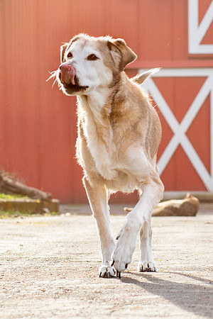 Sam 20x30 - 33 Grace at 17 - Jeannine_Pound _Photography