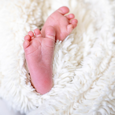 11 - Malaki 2 weeks - Jeannine Pound Photography