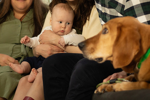 196 - Theo at 4 months - Jeannine Pound Photography