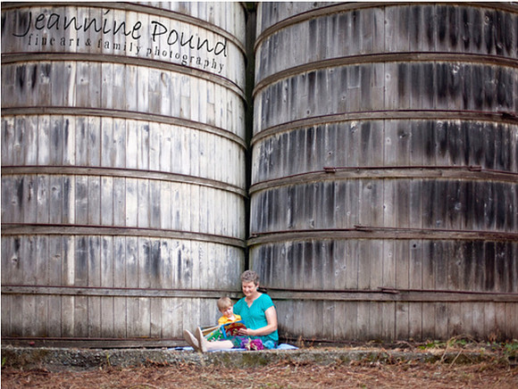 Berger One Stop Shop - 100 yr old dairy barn silos 2