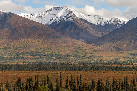 134-Alaska2018-JeanninePoundPhotography