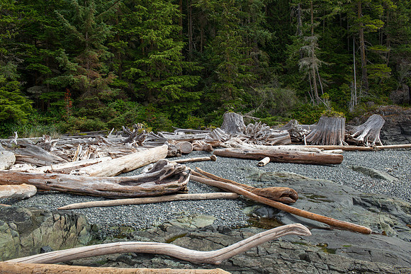 144-WildlifeCamp-JeanninePoundPhotography