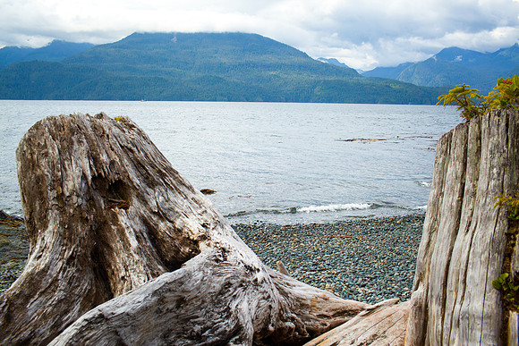 147-WildlifeCamp-JeanninePoundPhotography