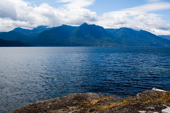 205-WildlifeCamp-JeanninePoundPhotography