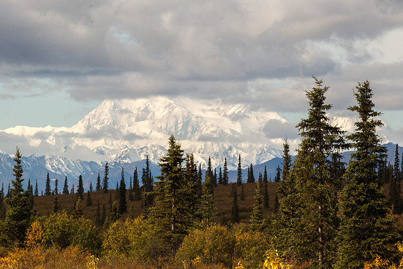 260-Alaska2018-JeanninePoundPhotography