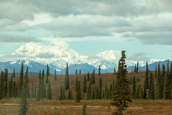 266-Alaska2018-JeanninePoundPhotography