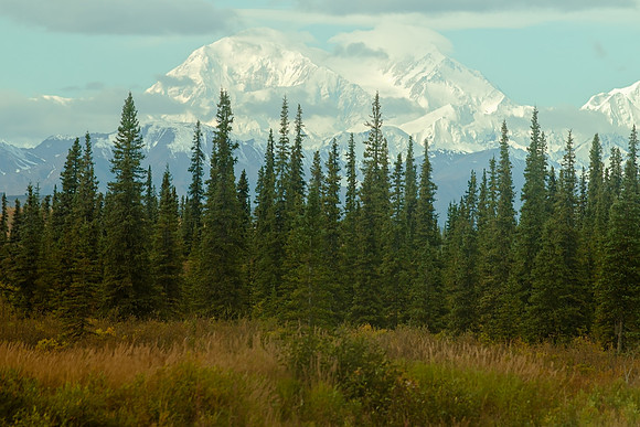 265-Alaska2018-JeanninePoundPhotography