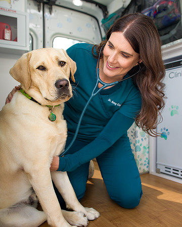 House_Pet_Vet_Visits - 4